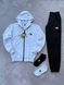 Мужской спортивный костюм Норд Фейс The North Face 4в1: кофта, штаны и 2 пары носков | S м-1161 фото 1