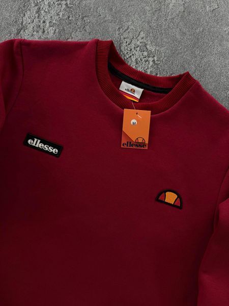Чоловічий теплий зимовий спортивний костюм на флісі Ellesse Еліс 4в1: світшот, штани та 2 пари шкарпеток | XS м-29 фото