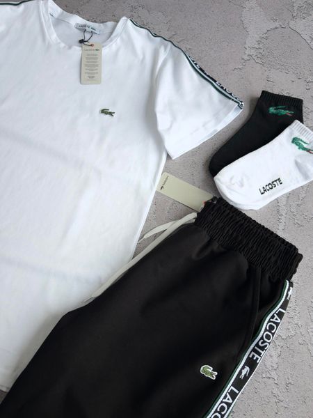 Мужской летний костюм Лакоста Lacoste 4в1: футболка, шорты и 2 пары носков | S  м-1689 фото
