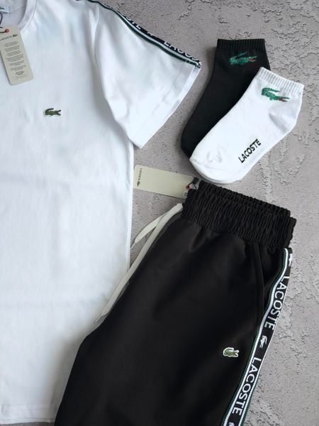 Мужской летний костюм Лакоста Lacoste 4в1: футболка, шорты и 2 пары носков | S  м-1689 фото